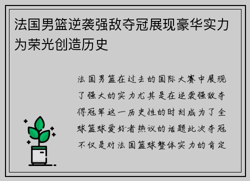 法国男篮逆袭强敌夺冠展现豪华实力为荣光创造历史