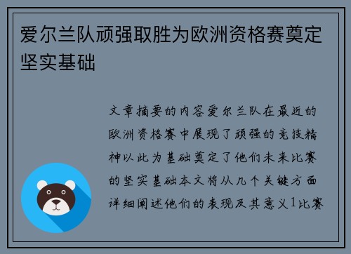 爱尔兰队顽强取胜为欧洲资格赛奠定坚实基础